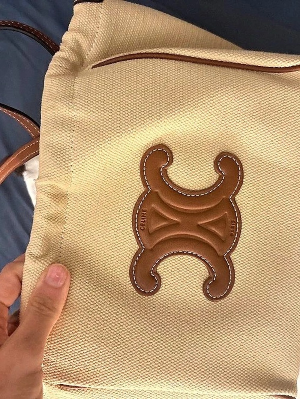 Celine Small Bucket in Triomphe Canvas and Calfskin Crossbody Bag